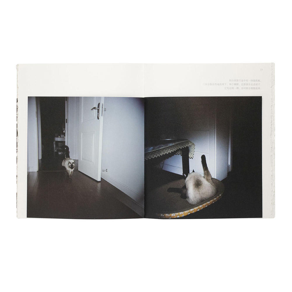 【300部限定】Mitani / I Did Nothing Other Than to Tell Them to Smile　「三谷 / ただ笑って、と伝えただけ」　写真集