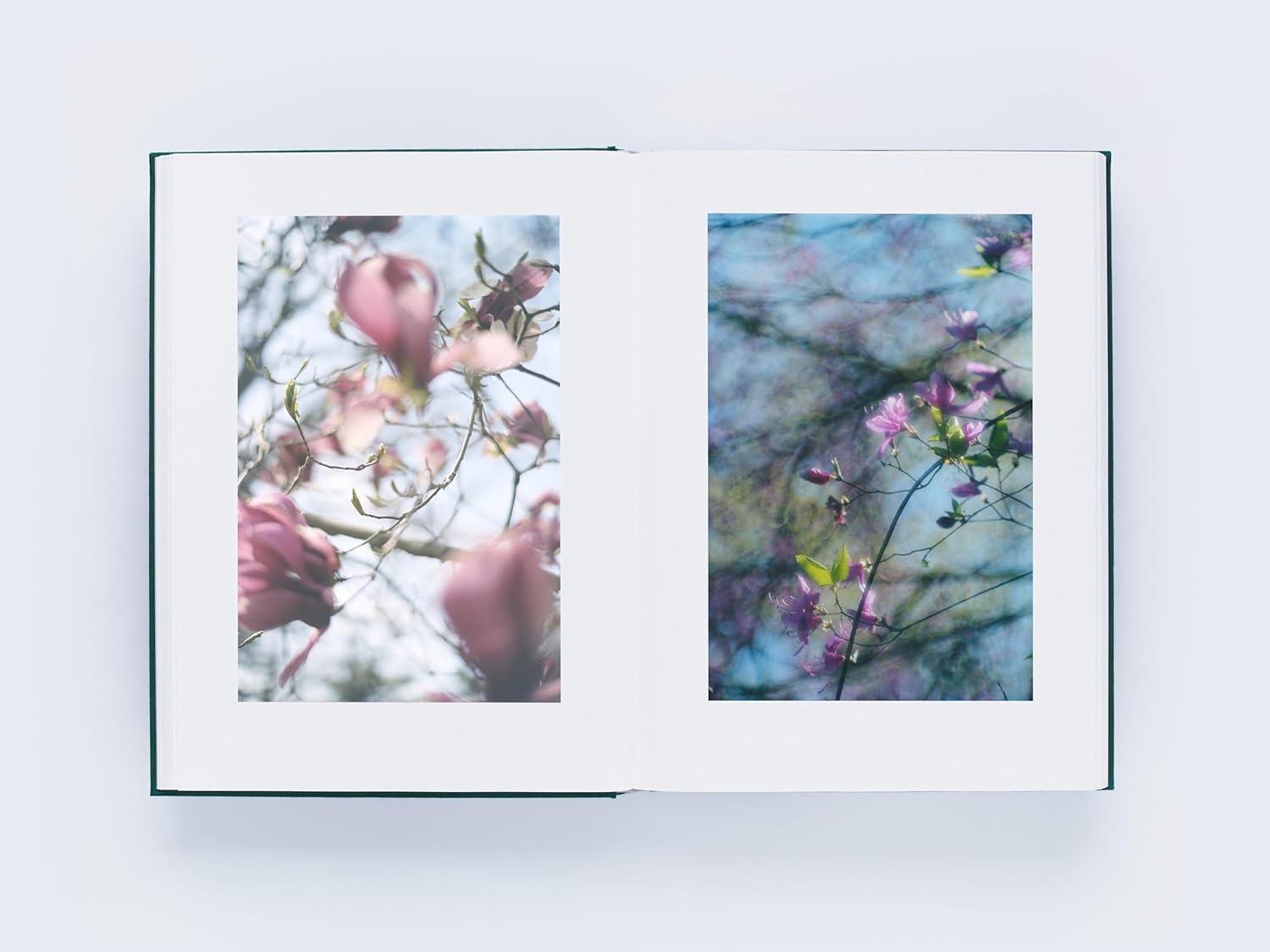 LUMIĒRE 瀧本幹也 ルミエール