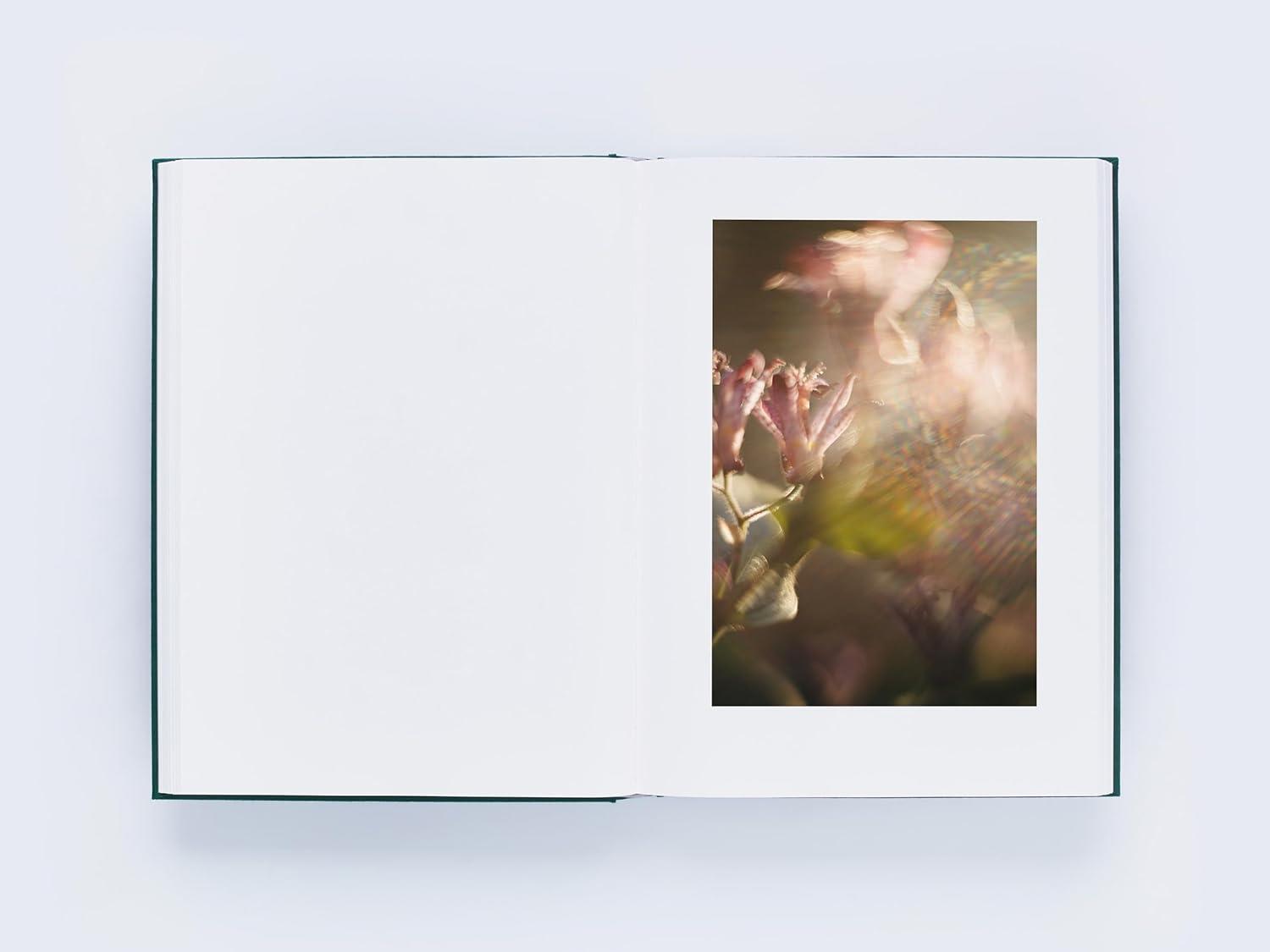 LUMIĒRE 瀧本幹也 ルミエール