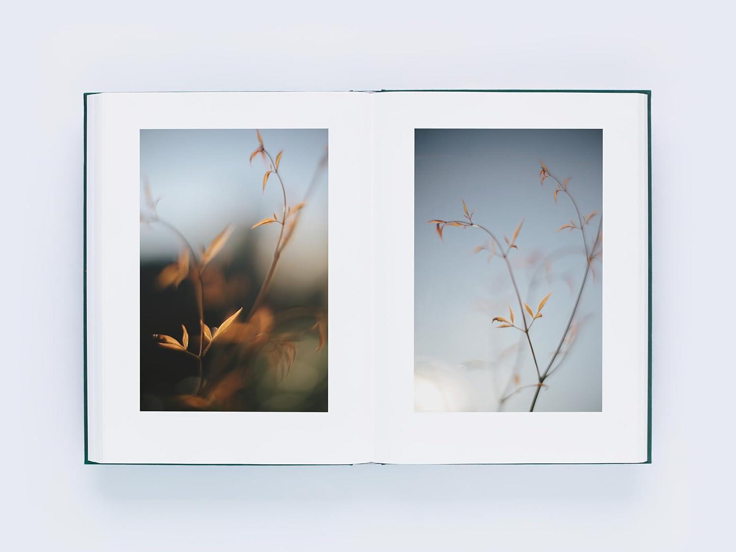 LUMIĒRE 瀧本幹也 ルミエール