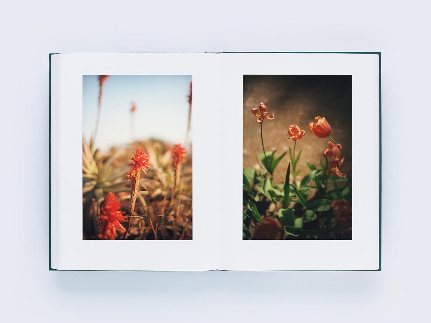 LUMIĒRE 瀧本幹也 ルミエール