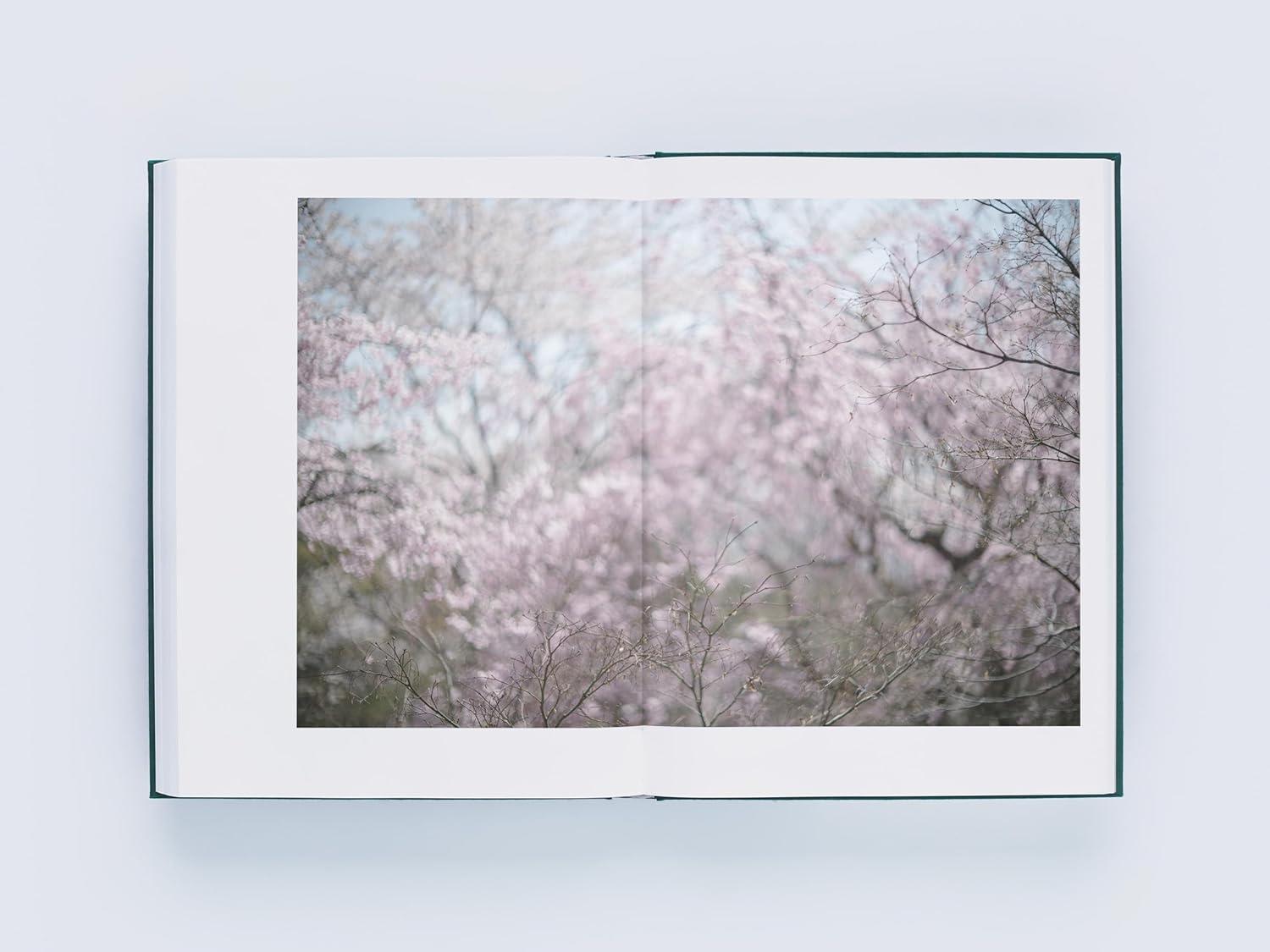 LUMIĒRE 瀧本幹也 ルミエール