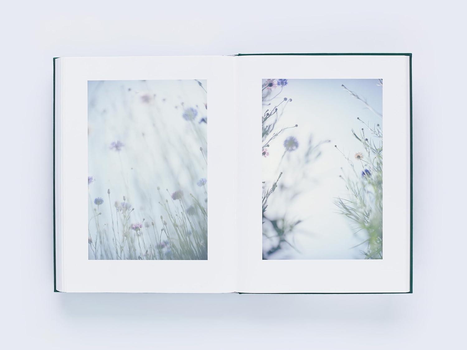 LUMIĒRE 瀧本幹也 ルミエール