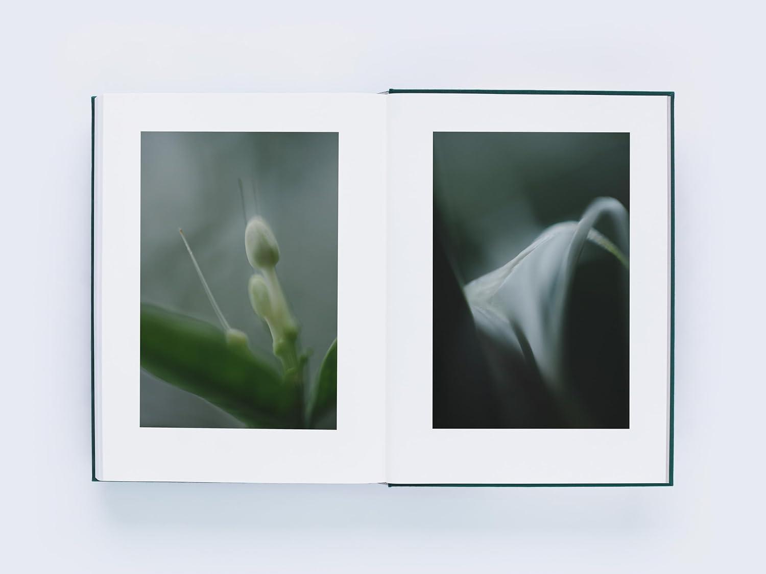 LUMIĒRE 瀧本幹也 ルミエール