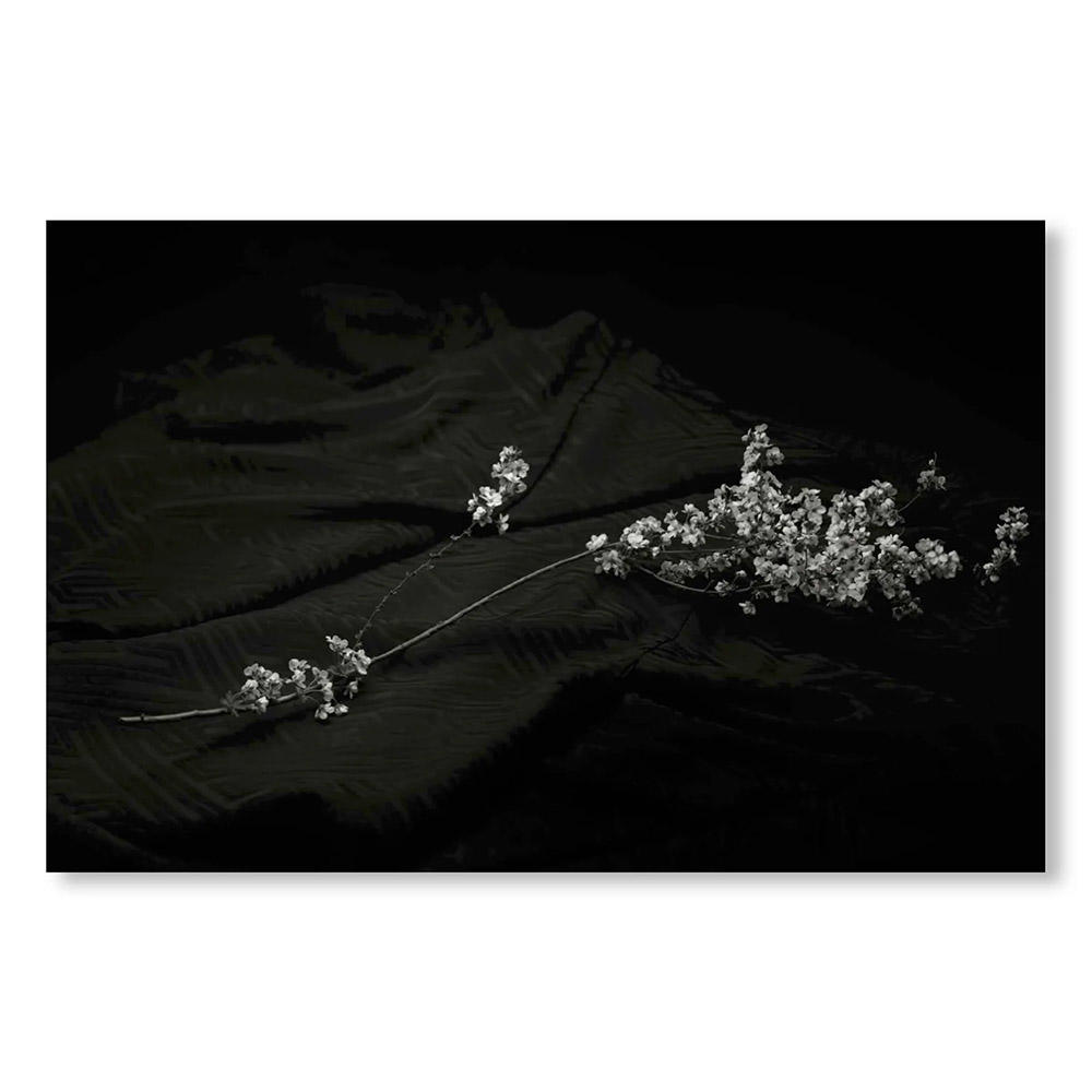 【1000部限定】MONO NO AWARE・BEAUTY OF IMPERMANENCE by Kenro Izu（井津建郎）　写真集