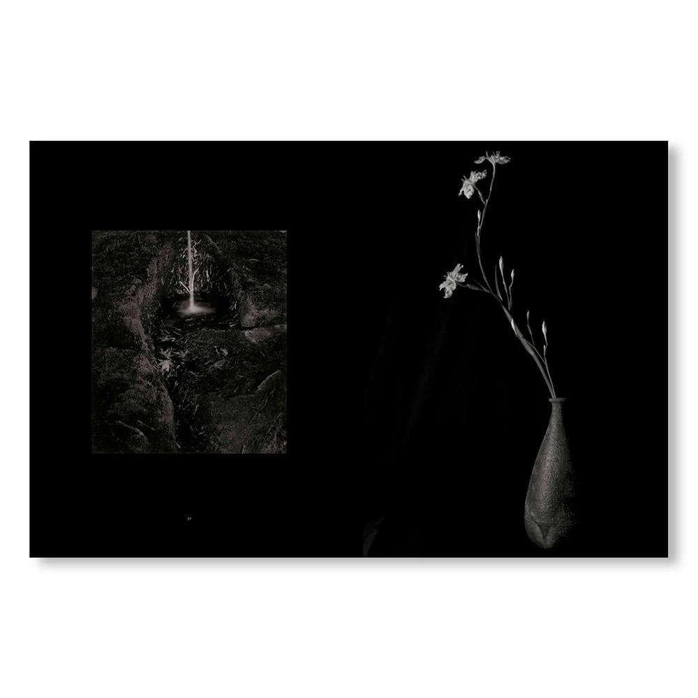 【1000部限定】MONO NO AWARE・BEAUTY OF IMPERMANENCE by Kenro Izu（井津建郎）　写真集