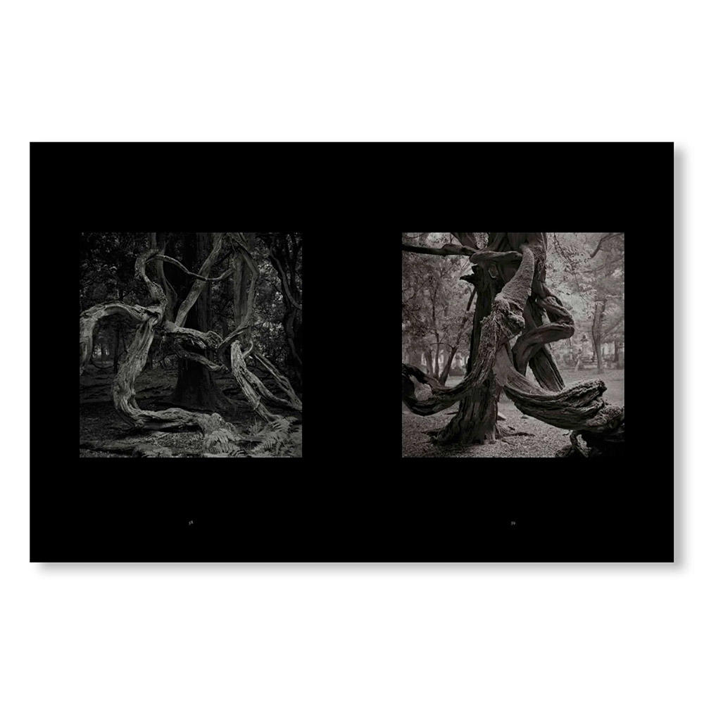 【1000部限定】MONO NO AWARE・BEAUTY OF IMPERMANENCE by Kenro Izu（井津建郎）　写真集