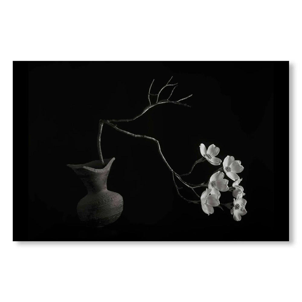 【1000部限定】MONO NO AWARE・BEAUTY OF IMPERMANENCE by Kenro Izu（井津建郎）　写真集