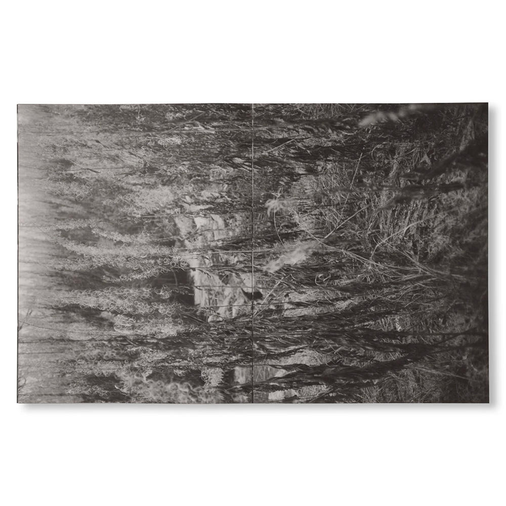 LA RONDE DES HIRONDELLES by Florence Cuschieri　フローレンス・クスキエリ写真集