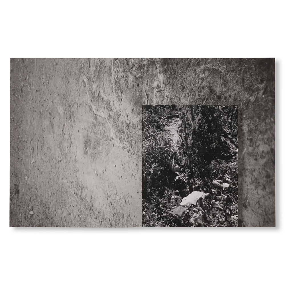 LA RONDE DES HIRONDELLES by Florence Cuschieri　フローレンス・クスキエリ写真集