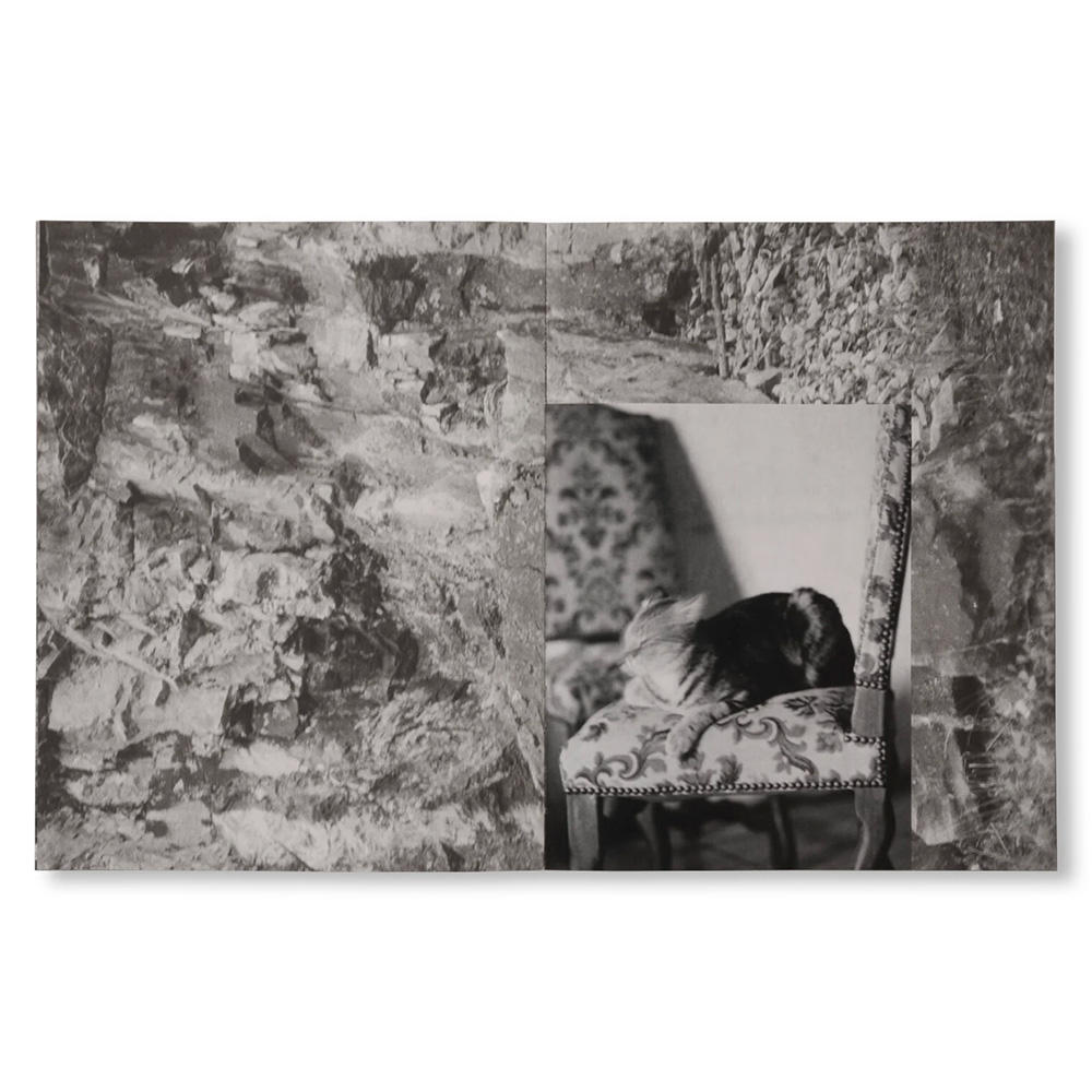 LA RONDE DES HIRONDELLES by Florence Cuschieri　フローレンス・クスキエリ写真集