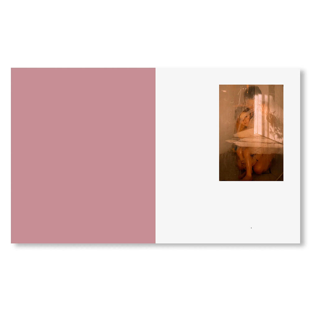 IN-PASSING by Lisa Sorgini（リサ・ソルジーニ） 写真集