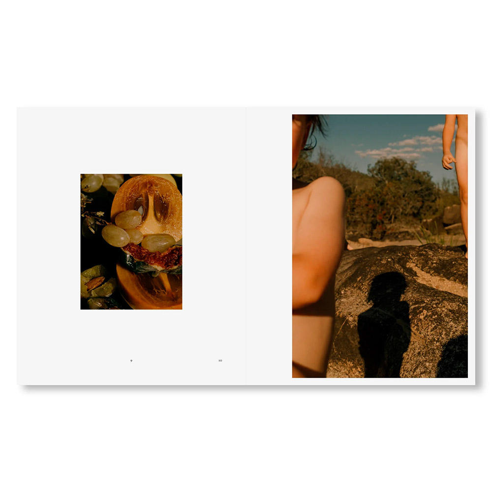 IN-PASSING by Lisa Sorgini（リサ・ソルジーニ） 写真集