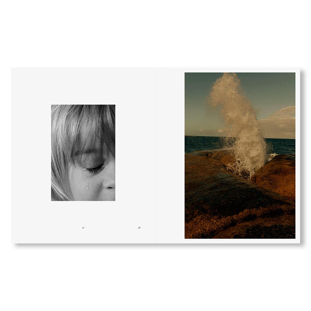 IN-PASSING by Lisa Sorgini（リサ・ソルジーニ） 写真集