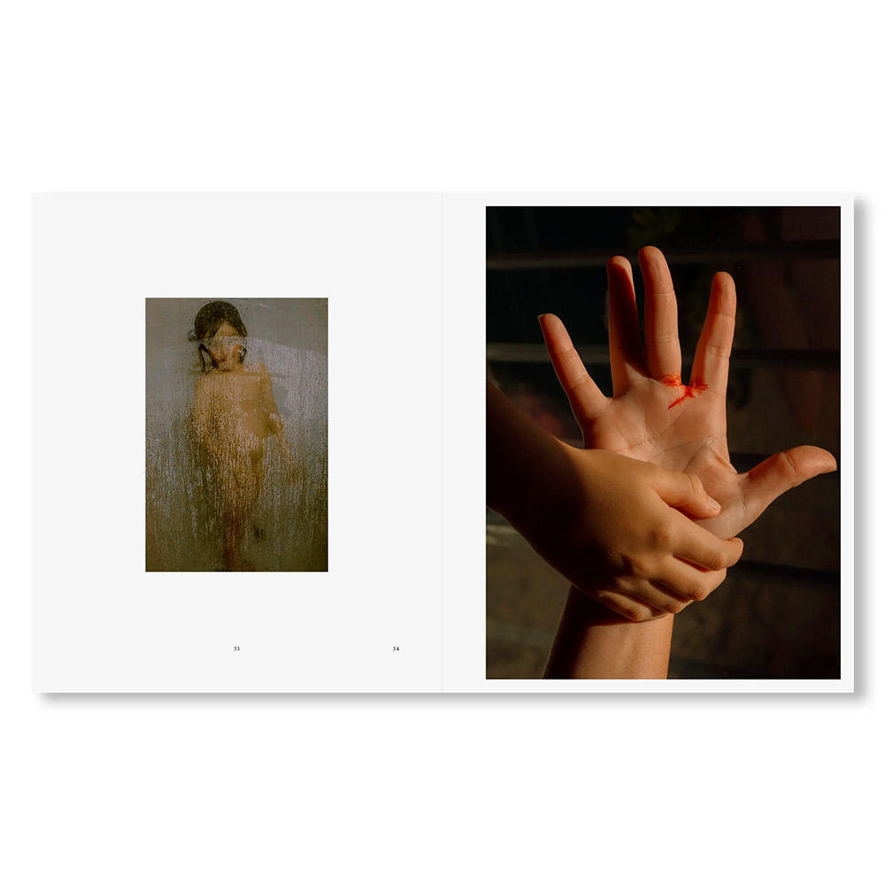 IN-PASSING by Lisa Sorgini（リサ・ソルジーニ） 写真集