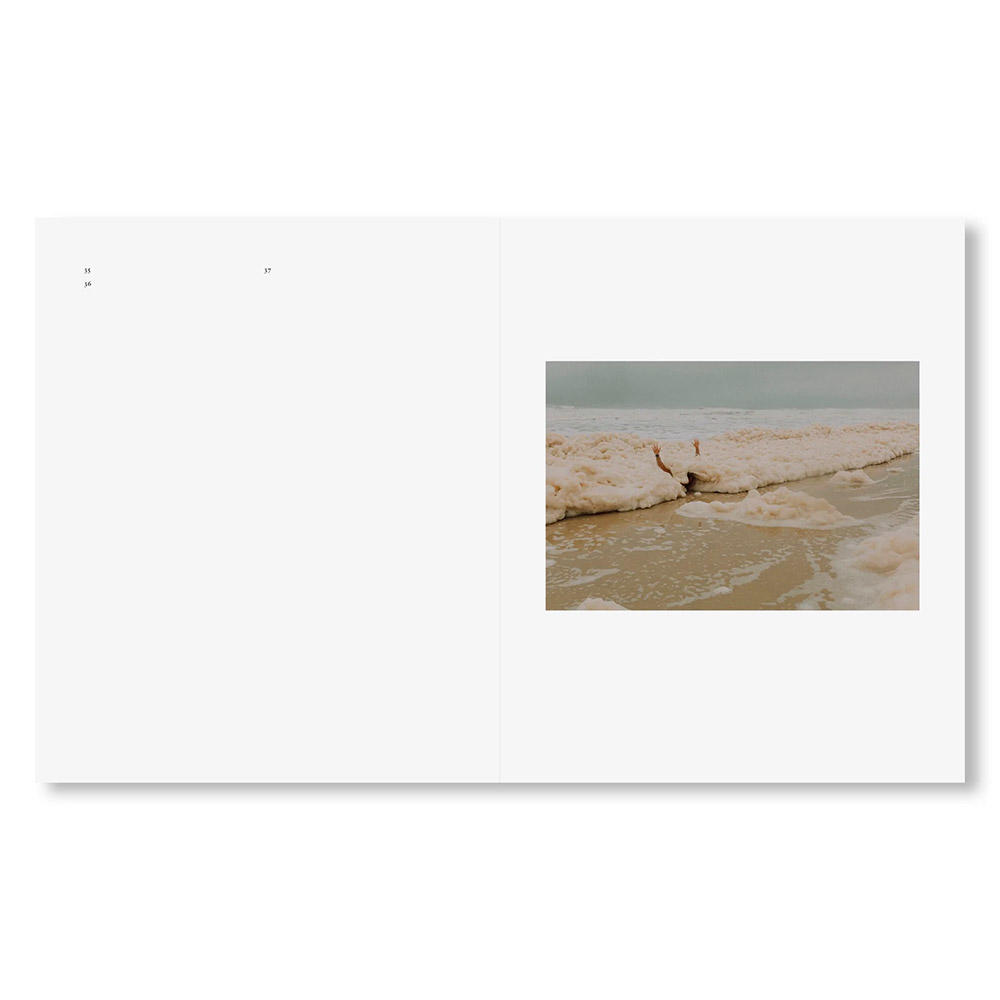 IN-PASSING by Lisa Sorgini（リサ・ソルジーニ） 写真集