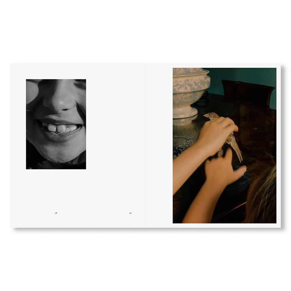 IN-PASSING by Lisa Sorgini（リサ・ソルジーニ） 写真集