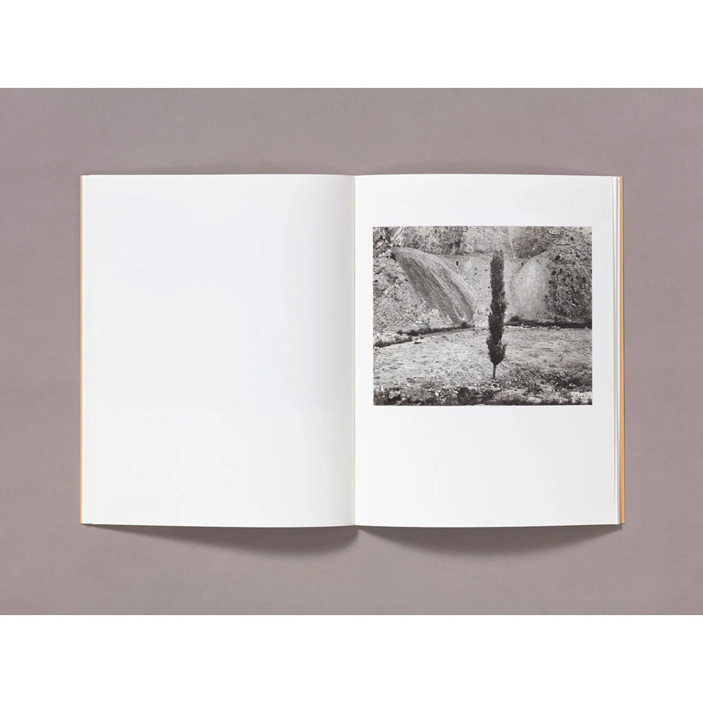 【サイン本】柴田敏雄「1987」