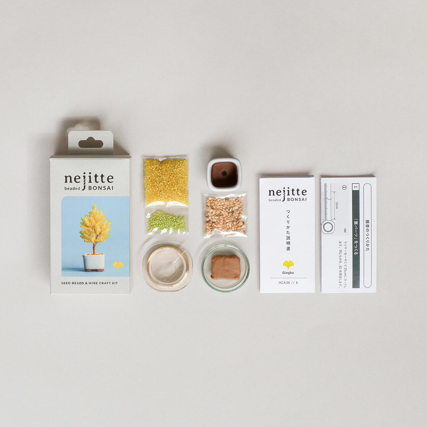 ネジッテBONSAIキット　銀杏