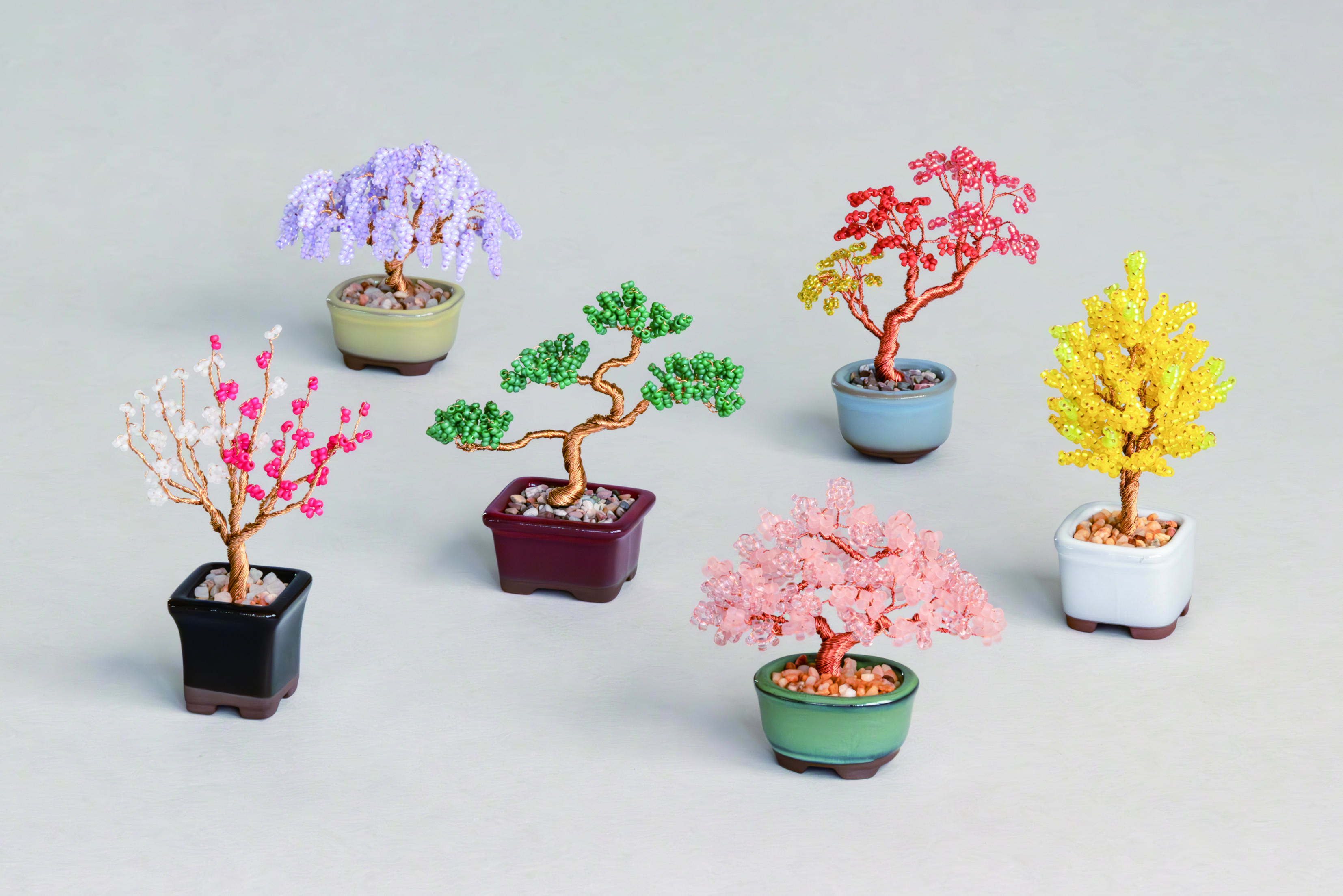 ネジッテBONSAIキット　銀杏