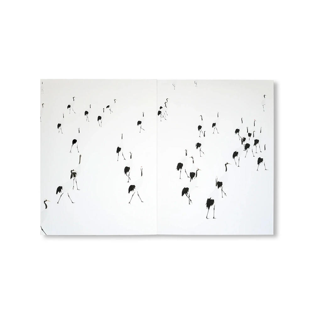 【500部限定】THE RED-CROWNED CRANE & THE END OF THE WORLD by Peter Granser ピーター・グランサー　柏木麻里　写真集