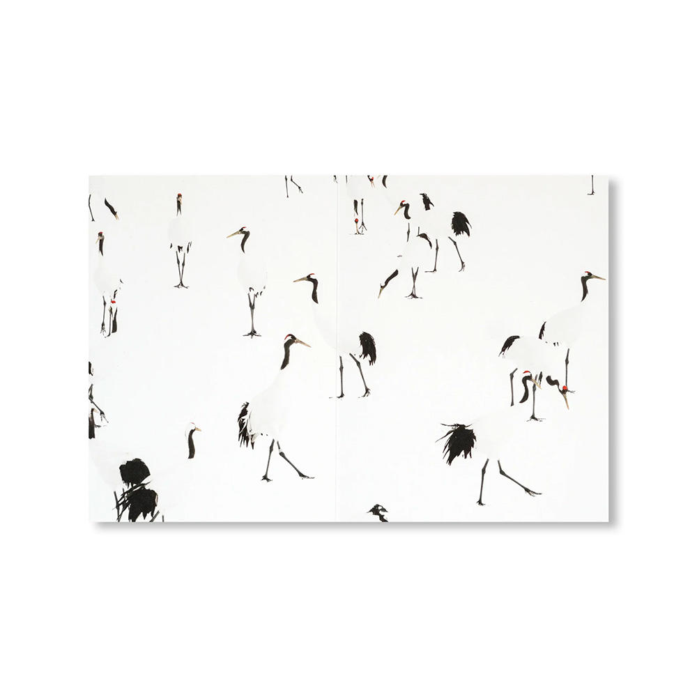 【500部限定】THE RED-CROWNED CRANE & THE END OF THE WORLD by Peter Granser ピーター・グランサー　柏木麻里　写真集