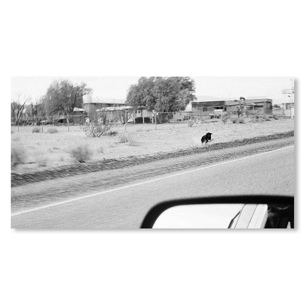 【REMASTERED EDITION／1000部限定】DOGS CHASING MY CAR IN THE DESERT by John Divola（ジョン・ディヴォラ） 写真集