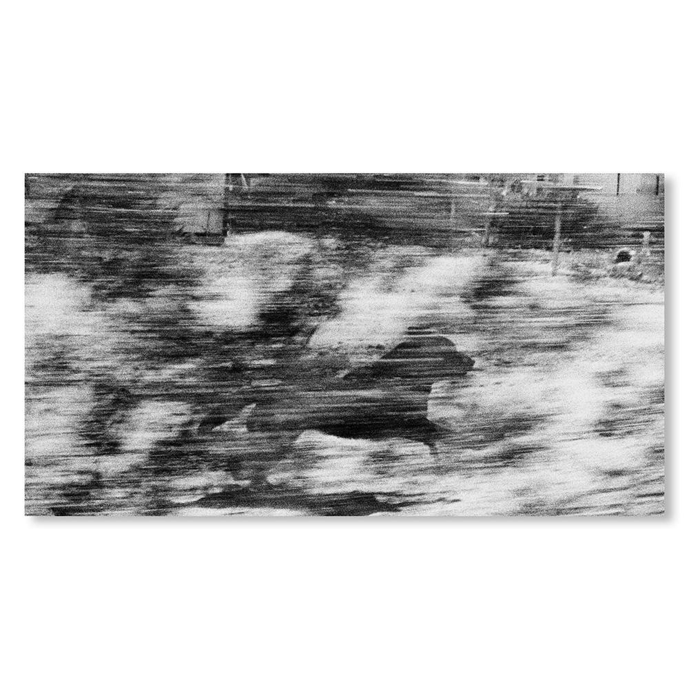 【REMASTERED EDITION／1000部限定】DOGS CHASING MY CAR IN THE DESERT by John Divola（ジョン・ディヴォラ） 写真集