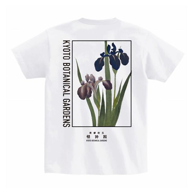 京都府立植物園 大森文庫　Tシャツ