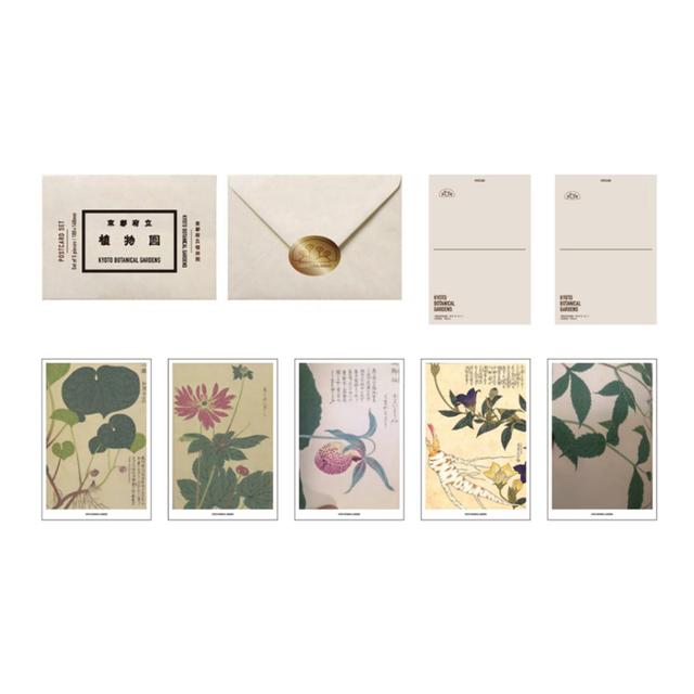 京都府立植物園 大森文庫 ポストカードセット 京都府立植物園の