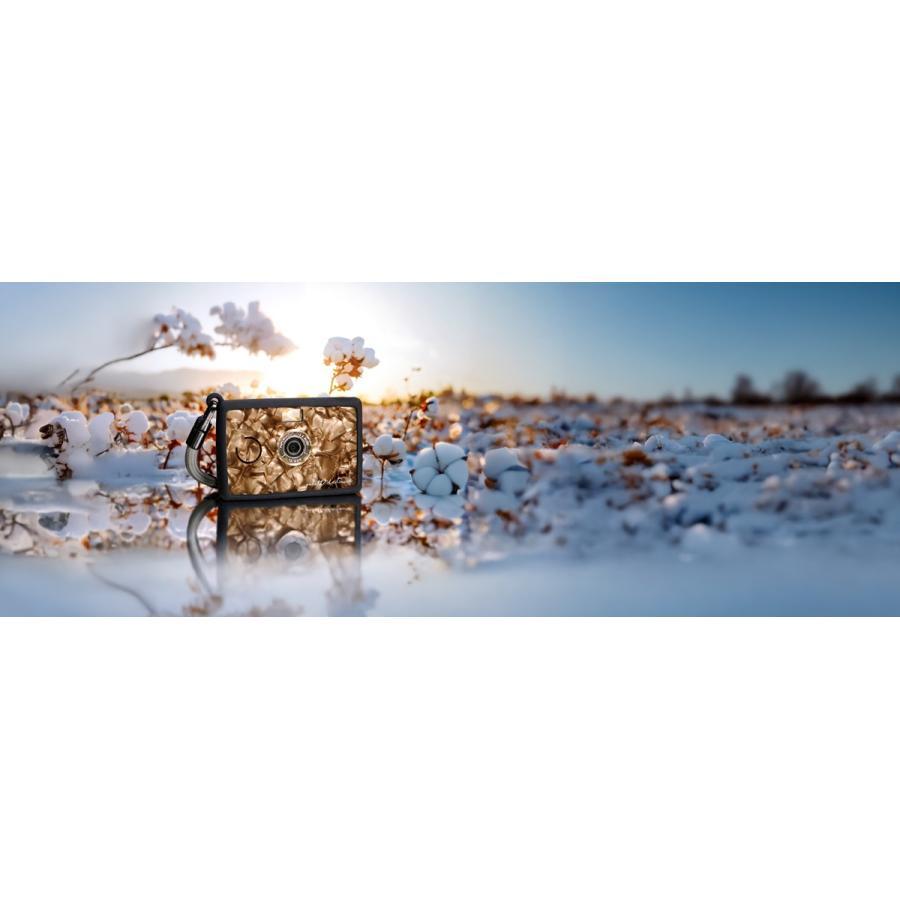 PaperShoot(ペーパーシュート)Aura Palette Camera Set w/シャンパンブロンズ