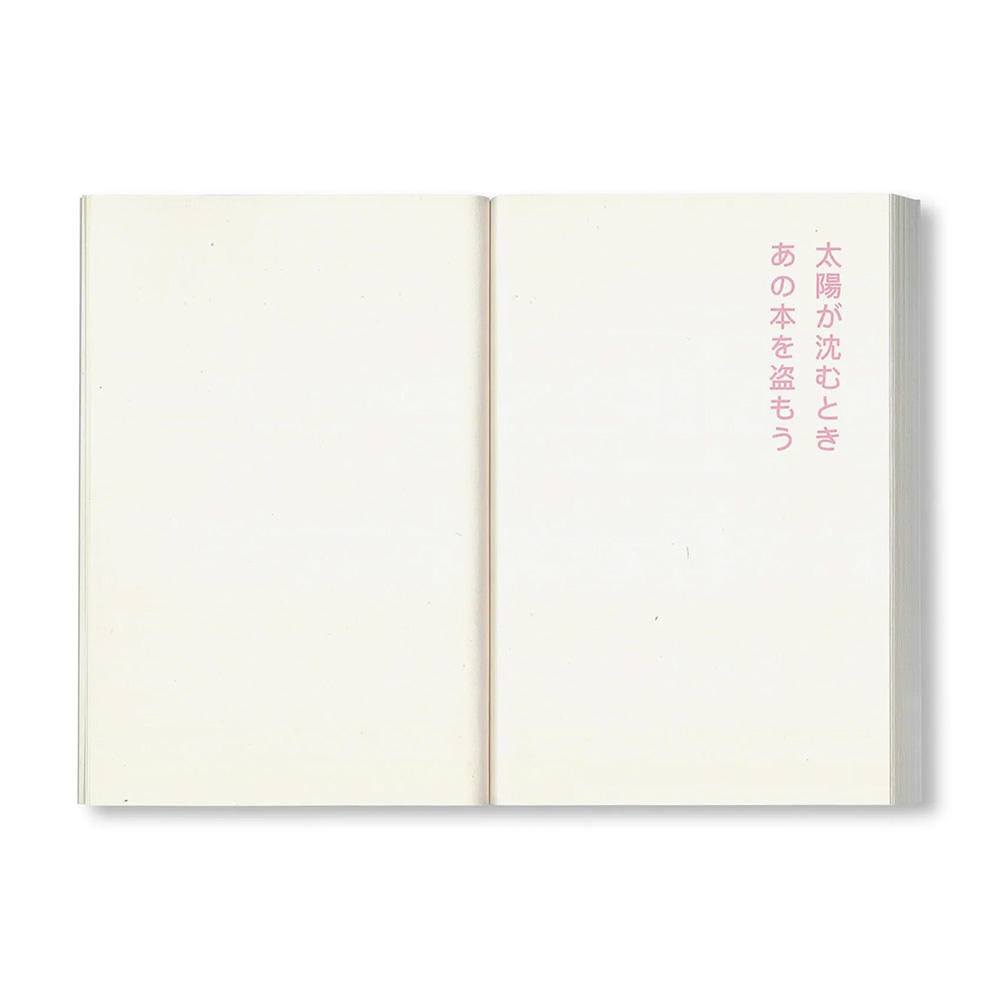 【500部限定】書店で万引きをする方法 by David Horvitz（デヴィッド・ホーヴィッツ）作品集