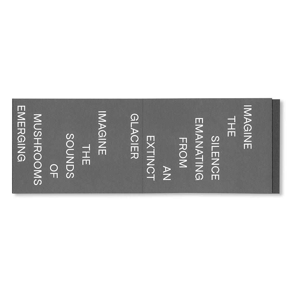 CALL TO A CROW－APPELLE UN CORBEAU by David Horvitz（デヴィッド・ホーヴィッツ）作品集