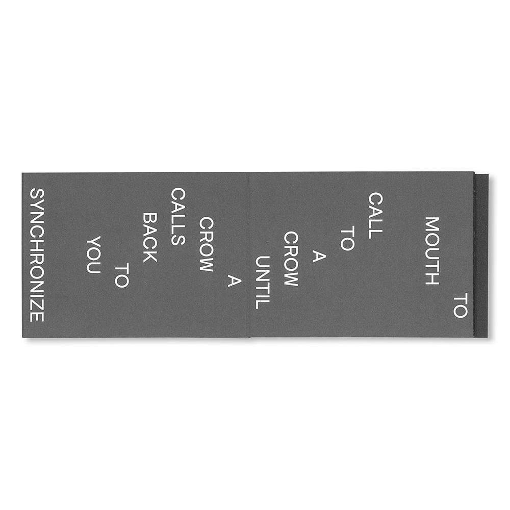 CALL TO A CROW－APPELLE UN CORBEAU by David Horvitz（デヴィッド・ホーヴィッツ）作品集