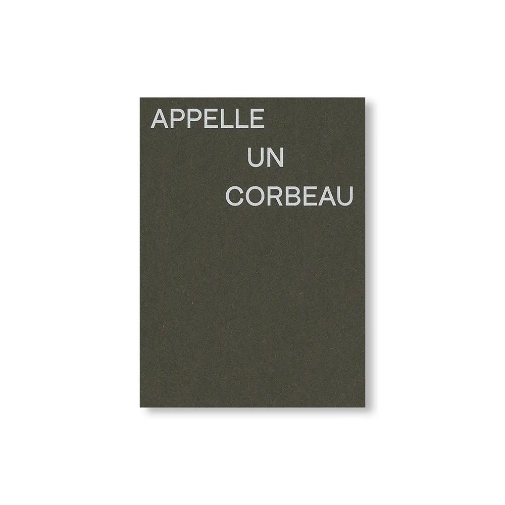 CALL TO A CROW－APPELLE UN CORBEAU by David Horvitz（デヴィッド・ホーヴィッツ）作品集