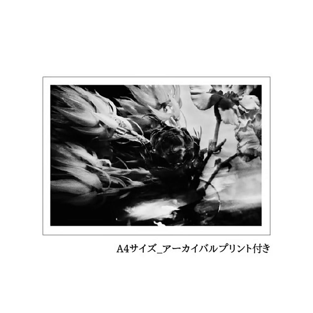 【特装版／250部限定】BUNDLE NO.1 濤声-The Sound of Waves　鈴木達朗　写真集