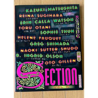 SECTION VOL.2