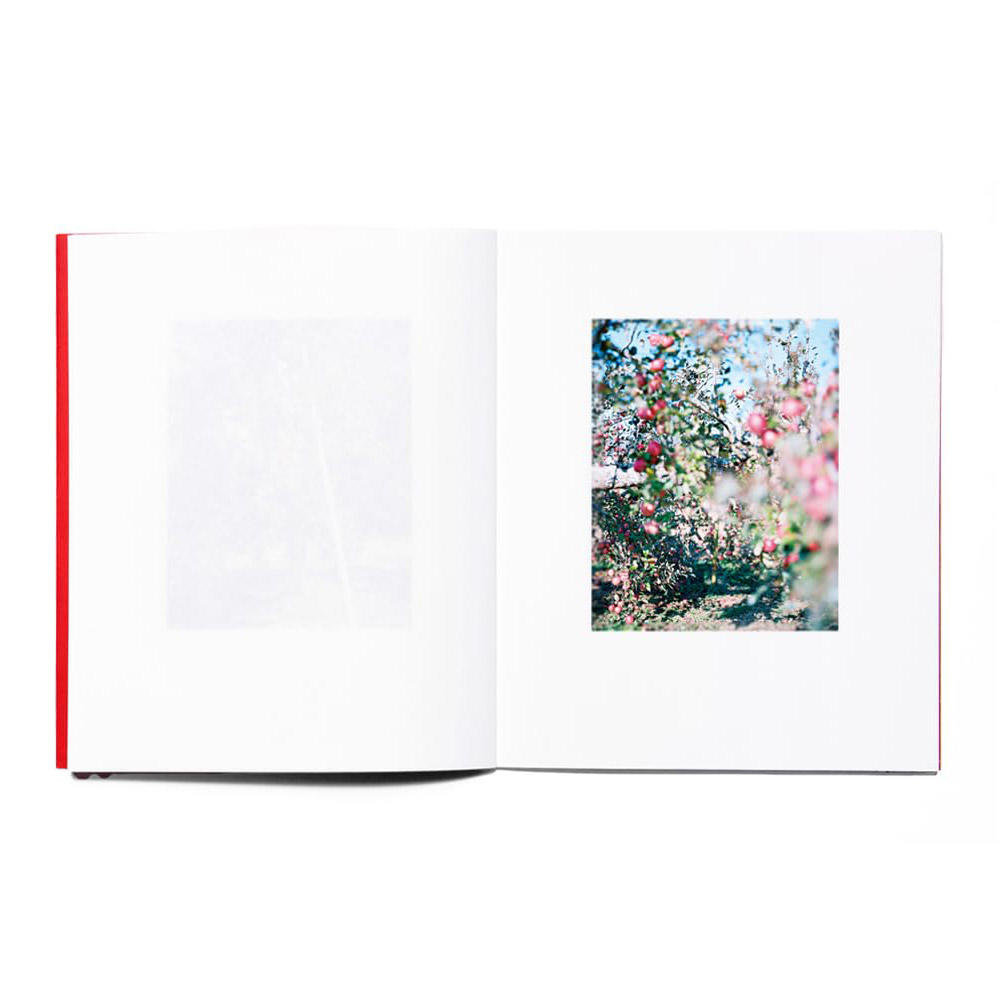 【重版】『林檎の木』　上田義彦　写真集　