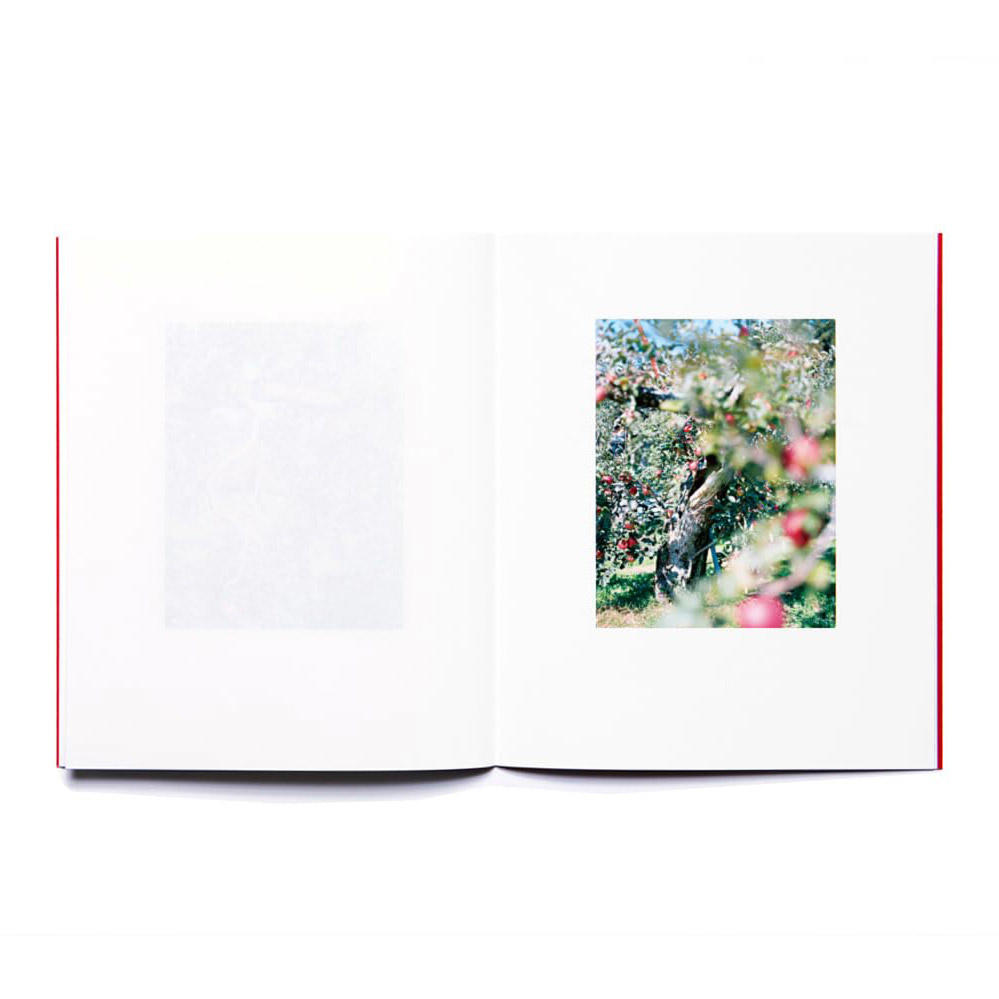 【重版】『林檎の木』　上田義彦　写真集　