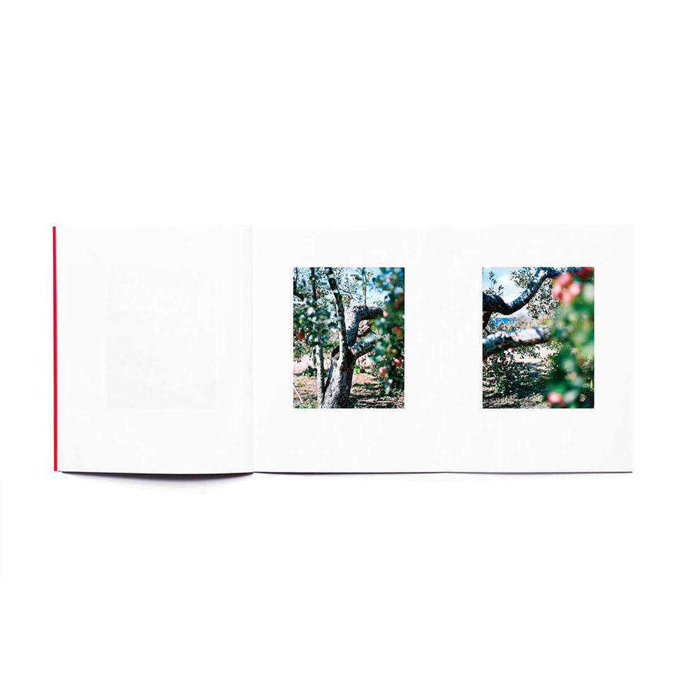 【重版】『林檎の木』　上田義彦　写真集　