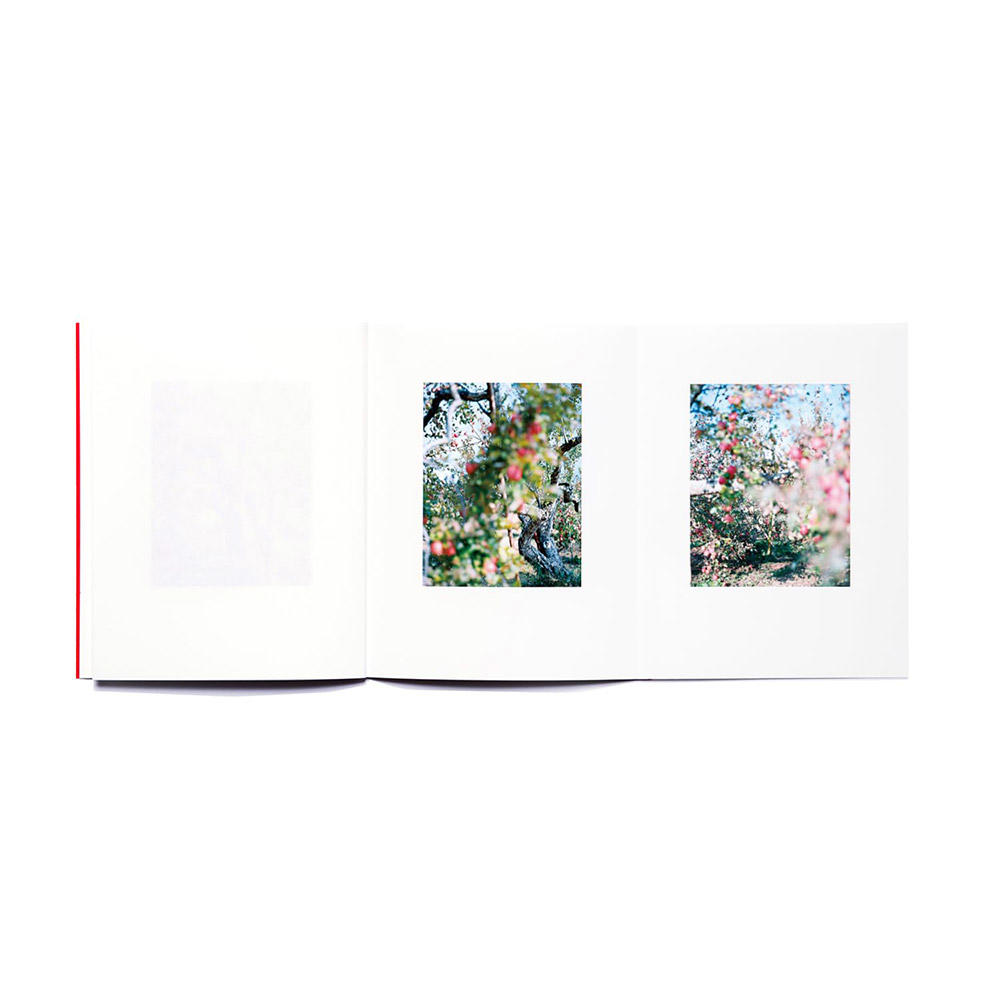 【重版】『林檎の木』　上田義彦　写真集　