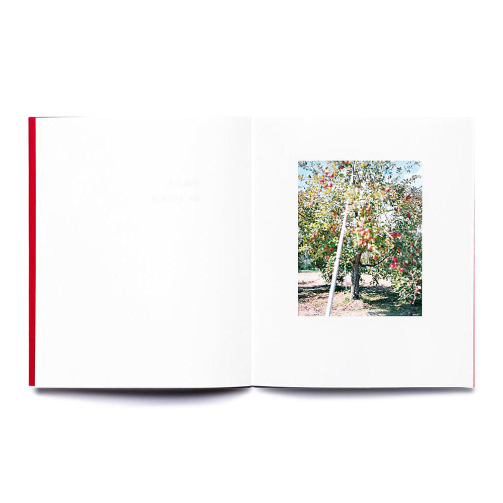 【重版】『林檎の木』　上田義彦　写真集　