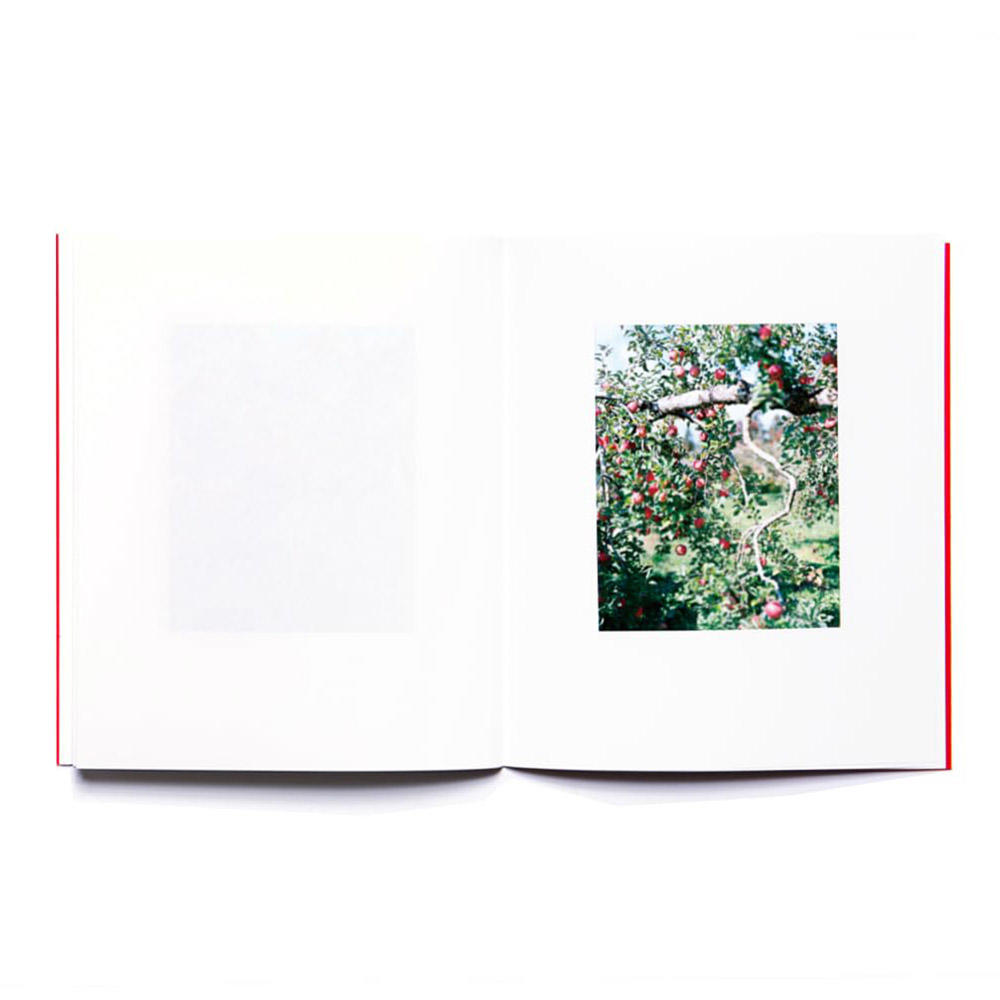 【重版】『林檎の木』　上田義彦　写真集　