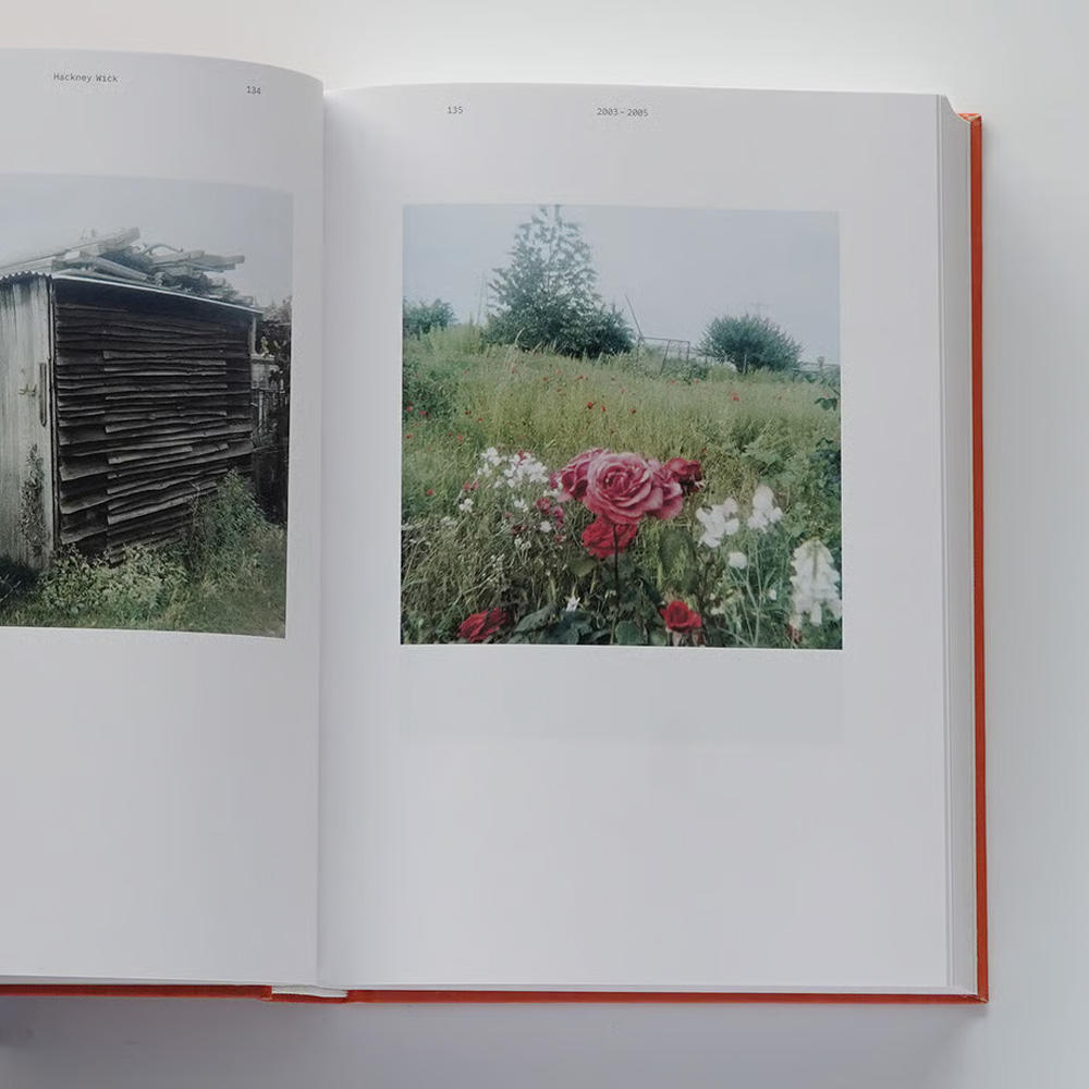 スティーブン・ギル写真集『COMING UP FOR AIR: STEPHEN GILL ー