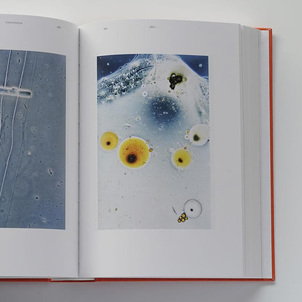 OUTSIDE IN スティーブン・ギル アートブック OUTSIDE IN by Stephen Gill – twelvebooks