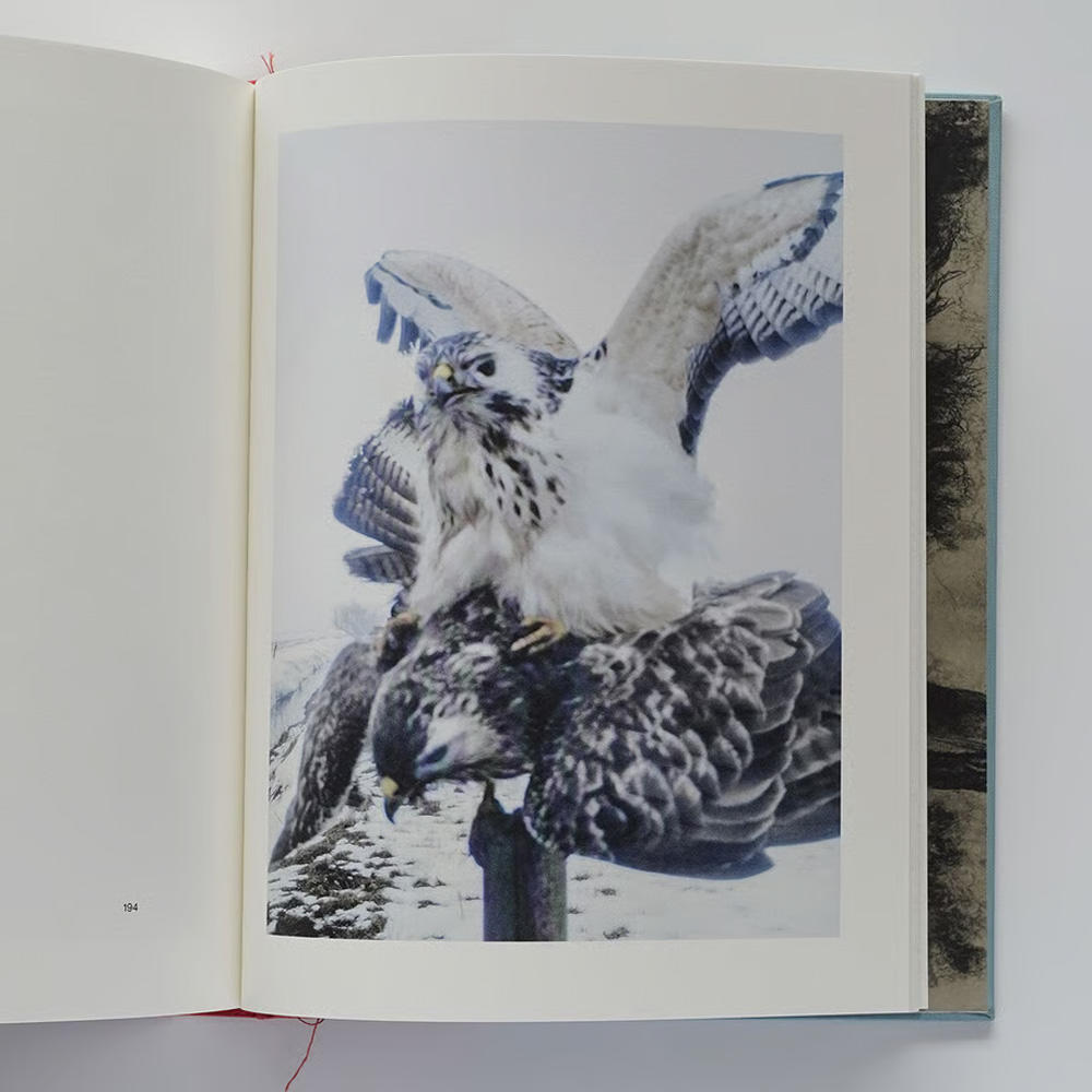 スティーブン・ギル写真集『The Pillar』※Nobody Books ポスト