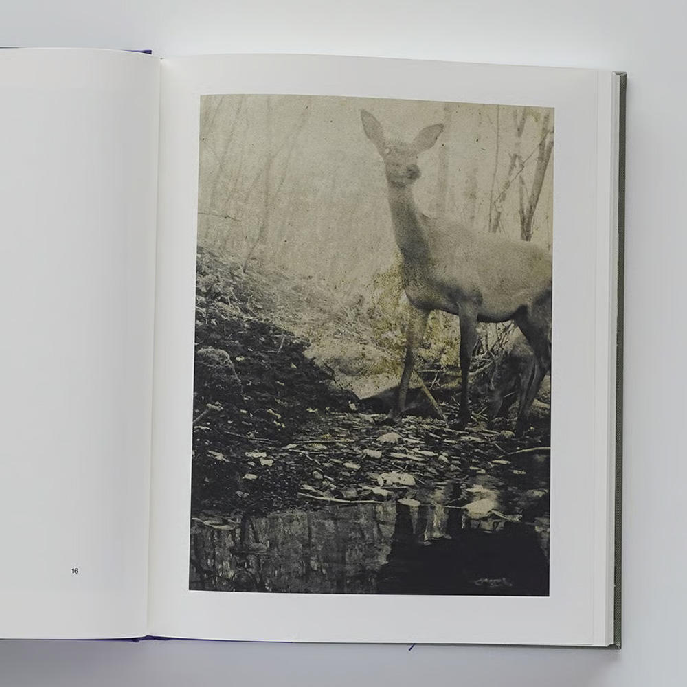 キュピパラ ギル フォトカード キューピット・パラサイト ギル フォトカ フォトカード