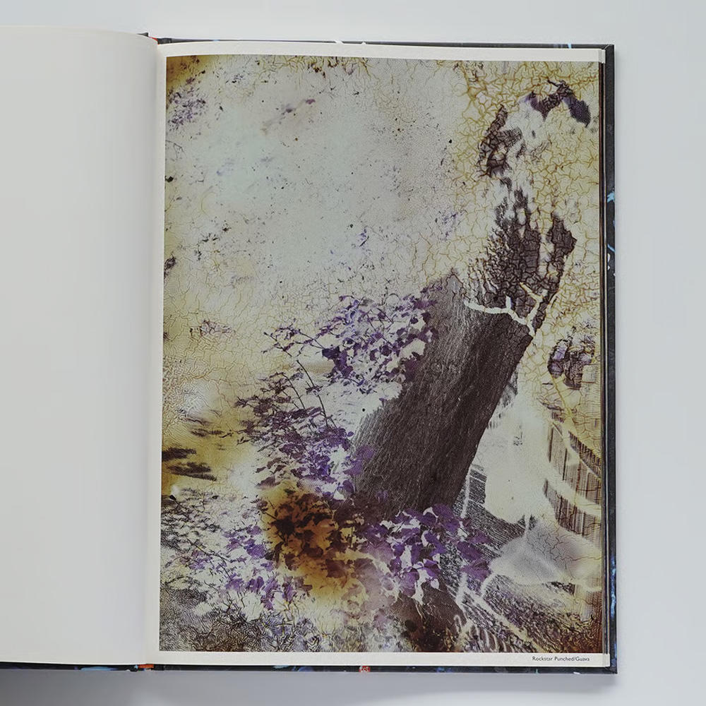 OUTSIDE IN スティーブン・ギル アートブック OUTSIDE IN スティーブン・ギル アートブック OUTSIDE IN