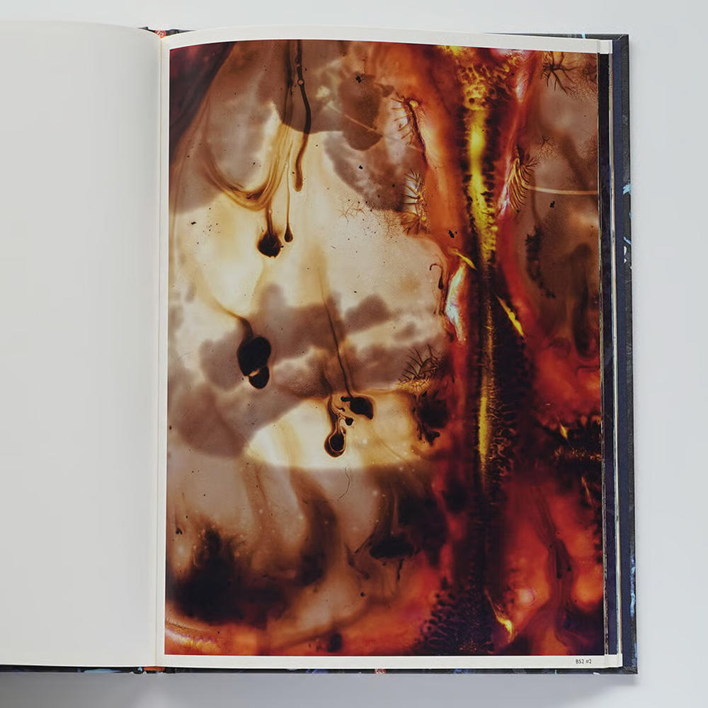 OUTSIDE IN スティーブン・ギル アートブック OUTSIDE IN スティーブン・ギル アートブック Stephen Gill