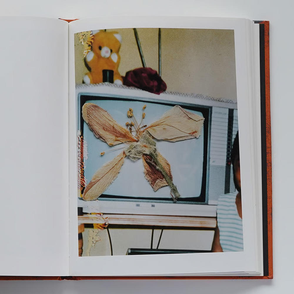 スティーブン・ギル写真集『Hackney Flowers』 ※Nobody Books